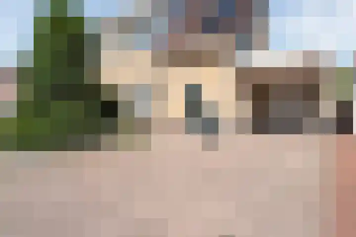 Valeriaan 15 Westerhaar-Vriezenveensewijk thumbnail 4