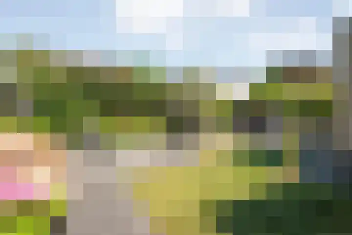 Valeriaan 15 Westerhaar-Vriezenveensewijk thumbnail 40