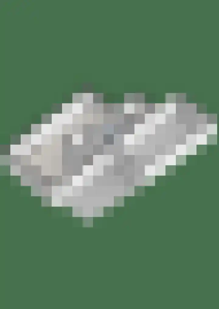 Valeriaan 15 Westerhaar-Vriezenveensewijk thumbnail 42