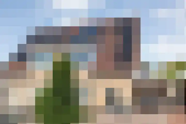 Valeriaan 15 Westerhaar-Vriezenveensewijk thumbnail 47