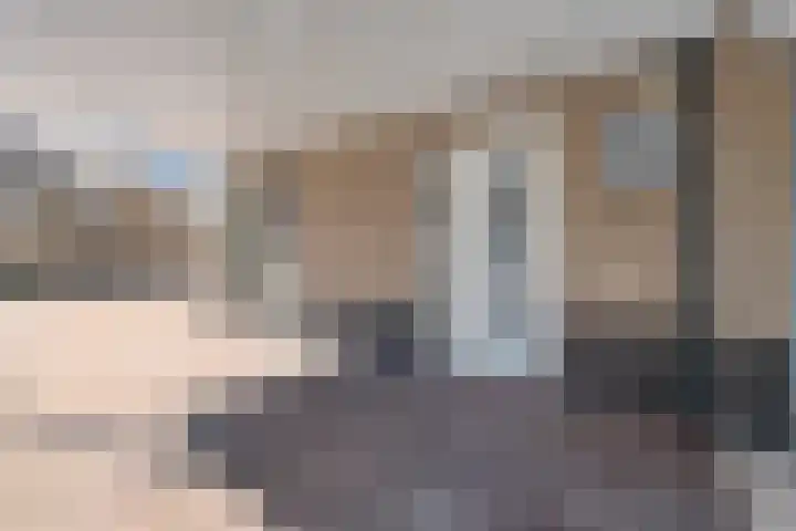 Valeriaan 15 Westerhaar-Vriezenveensewijk thumbnail 6