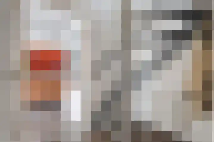 Valeriaan 15 Westerhaar-Vriezenveensewijk thumbnail 7