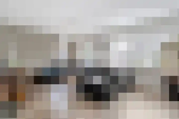 Valeriaan 15 Westerhaar-Vriezenveensewijk thumbnail 9