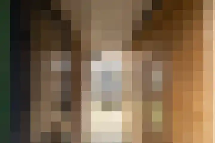 Valeriaan 18 Gendringen thumbnail 31
