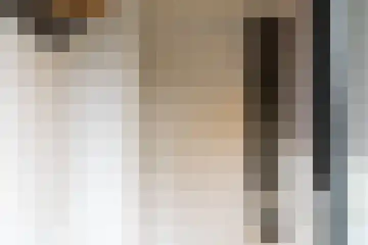 Valeriaan 18 Gendringen thumbnail 7