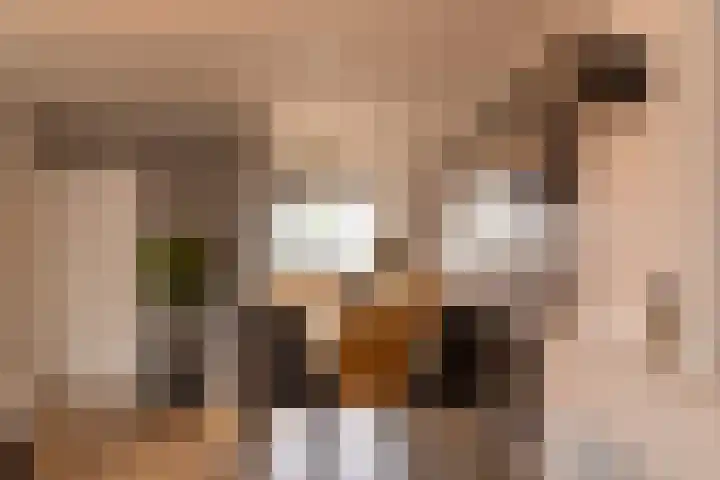 Valeriaan 18 Gendringen thumbnail 8