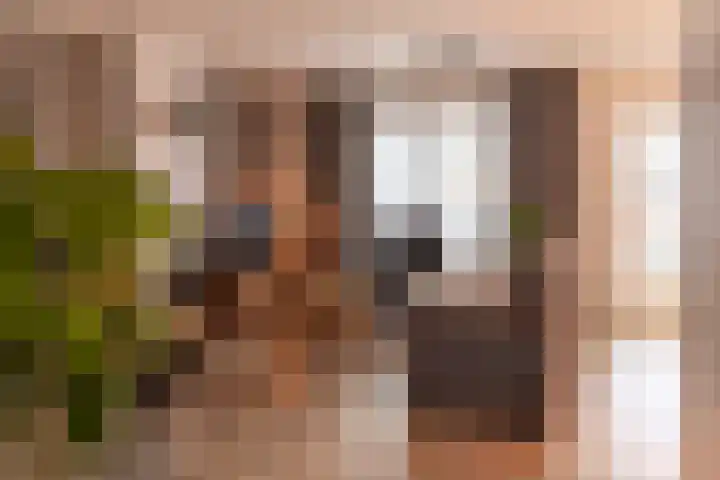 Valeriaan 18 Gendringen thumbnail 9
