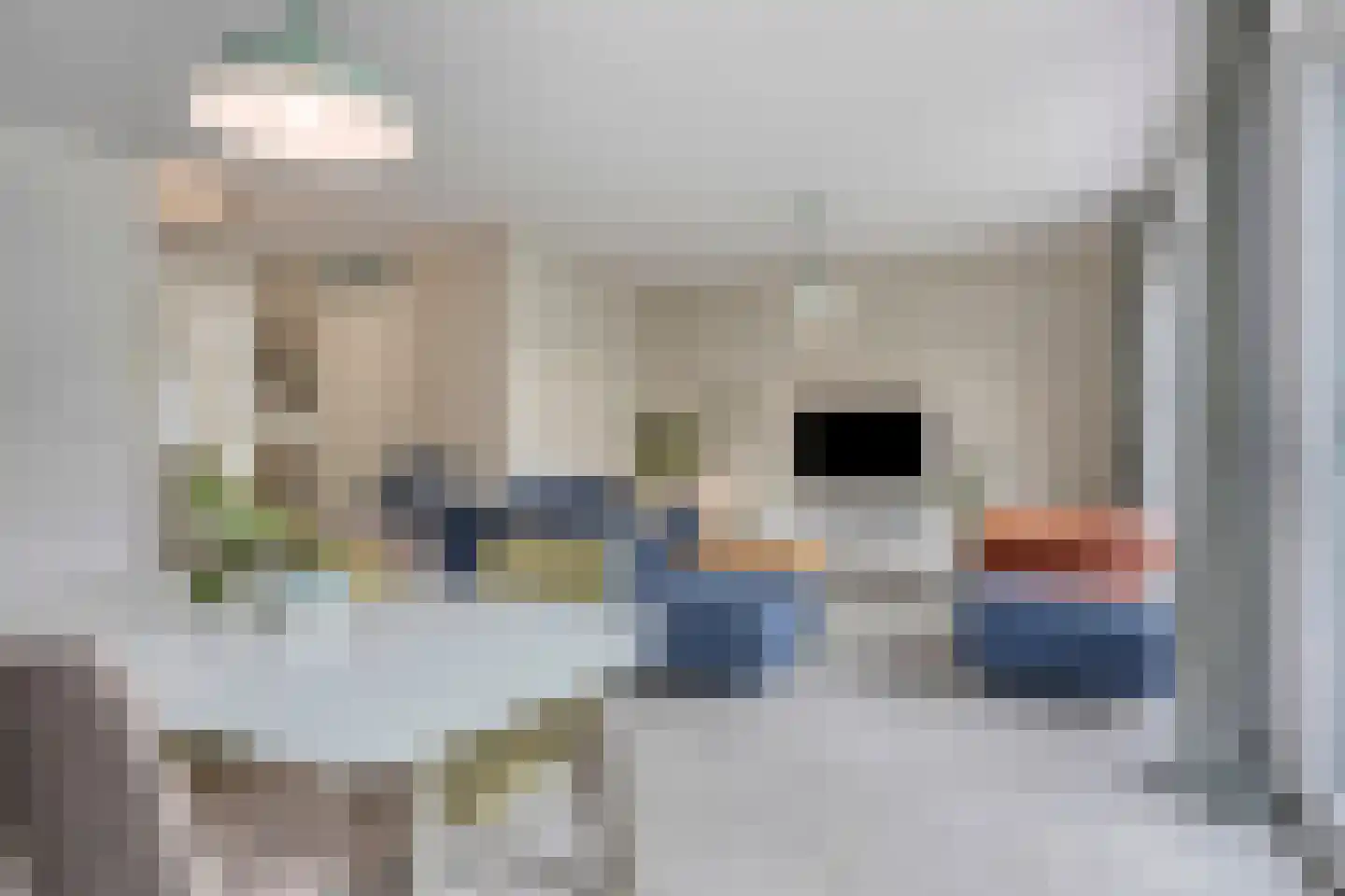 Valeriaan 19 Alphen aan den Rijn thumbnail 13