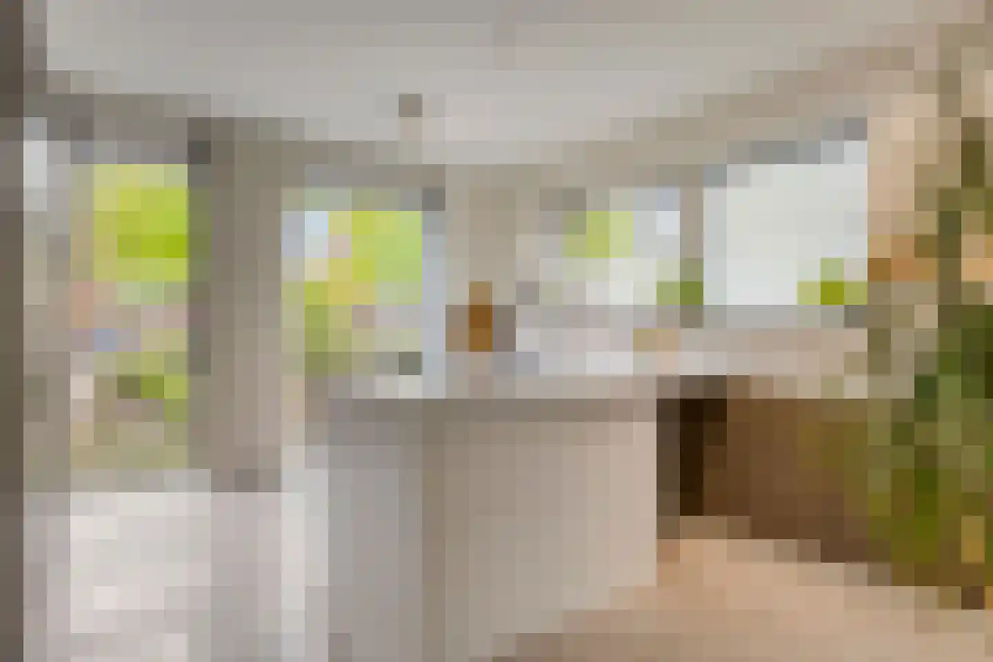 Valeriaan 19 Alphen aan den Rijn thumbnail 21