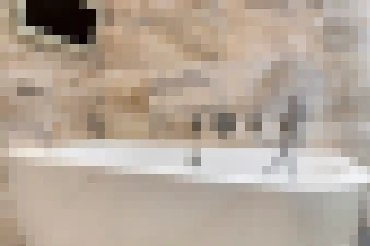 Valeriaan 19 Alphen aan den Rijn thumbnail 30
