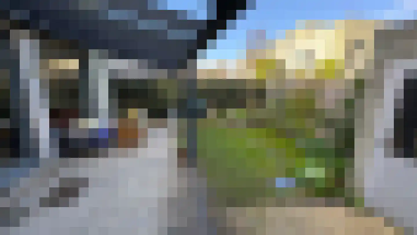 Valeriaan 19 Alphen aan den Rijn thumbnail 38