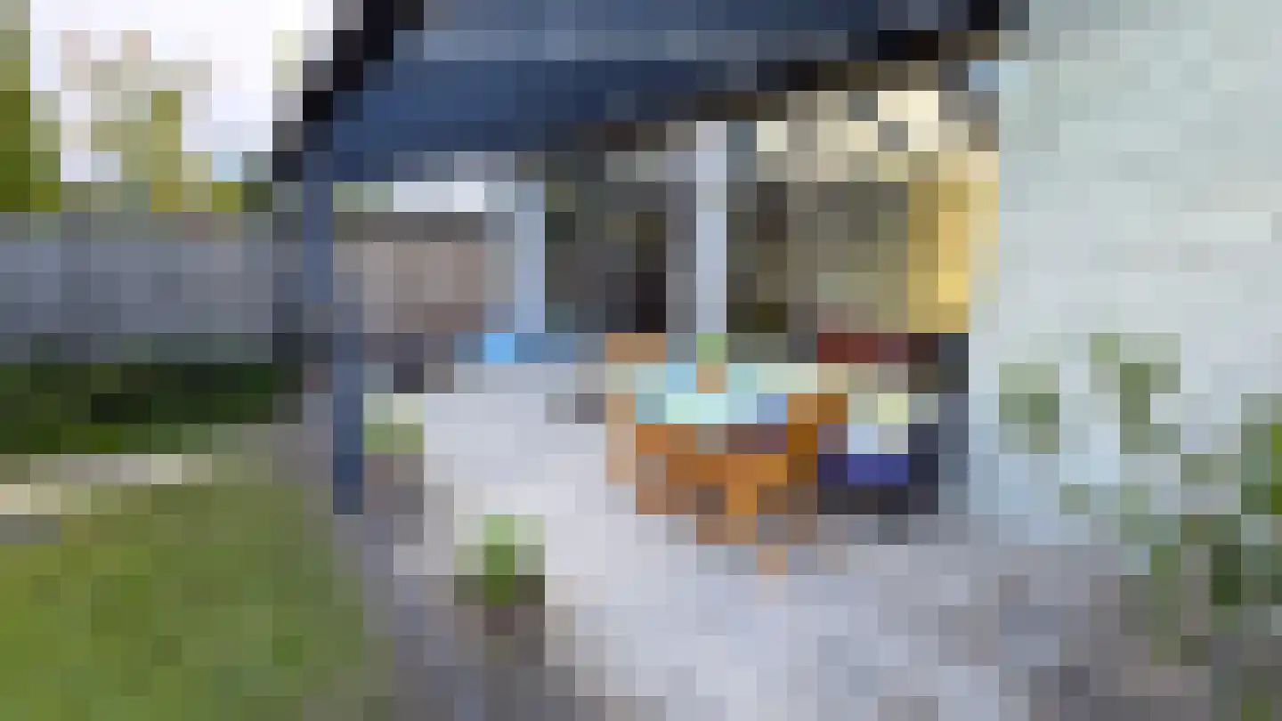 Valeriaan 19 Alphen aan den Rijn thumbnail 39