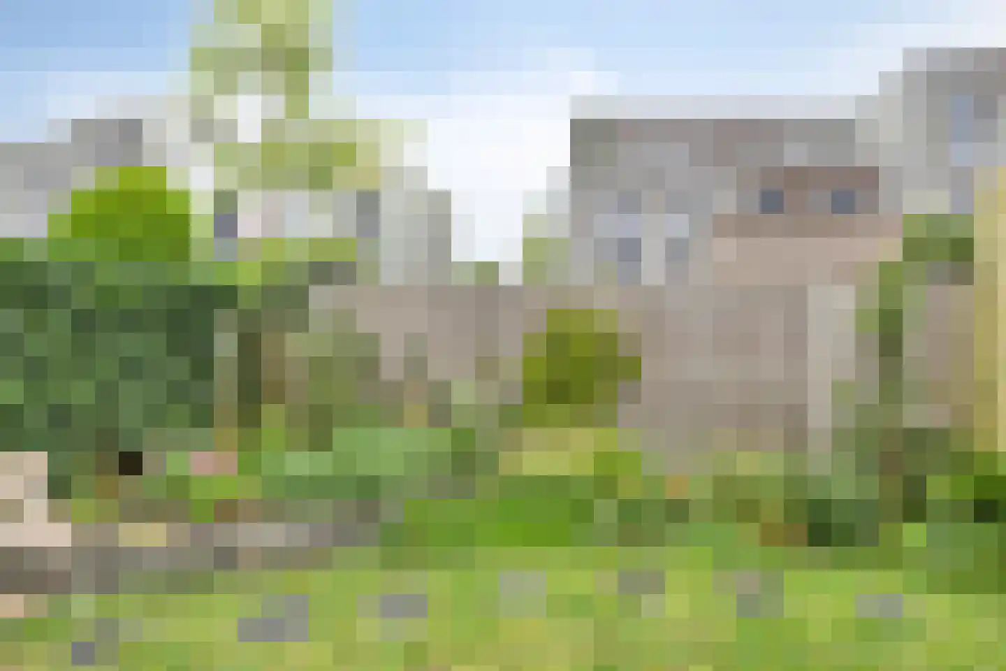 Valeriaan 19 Alphen aan den Rijn thumbnail 41