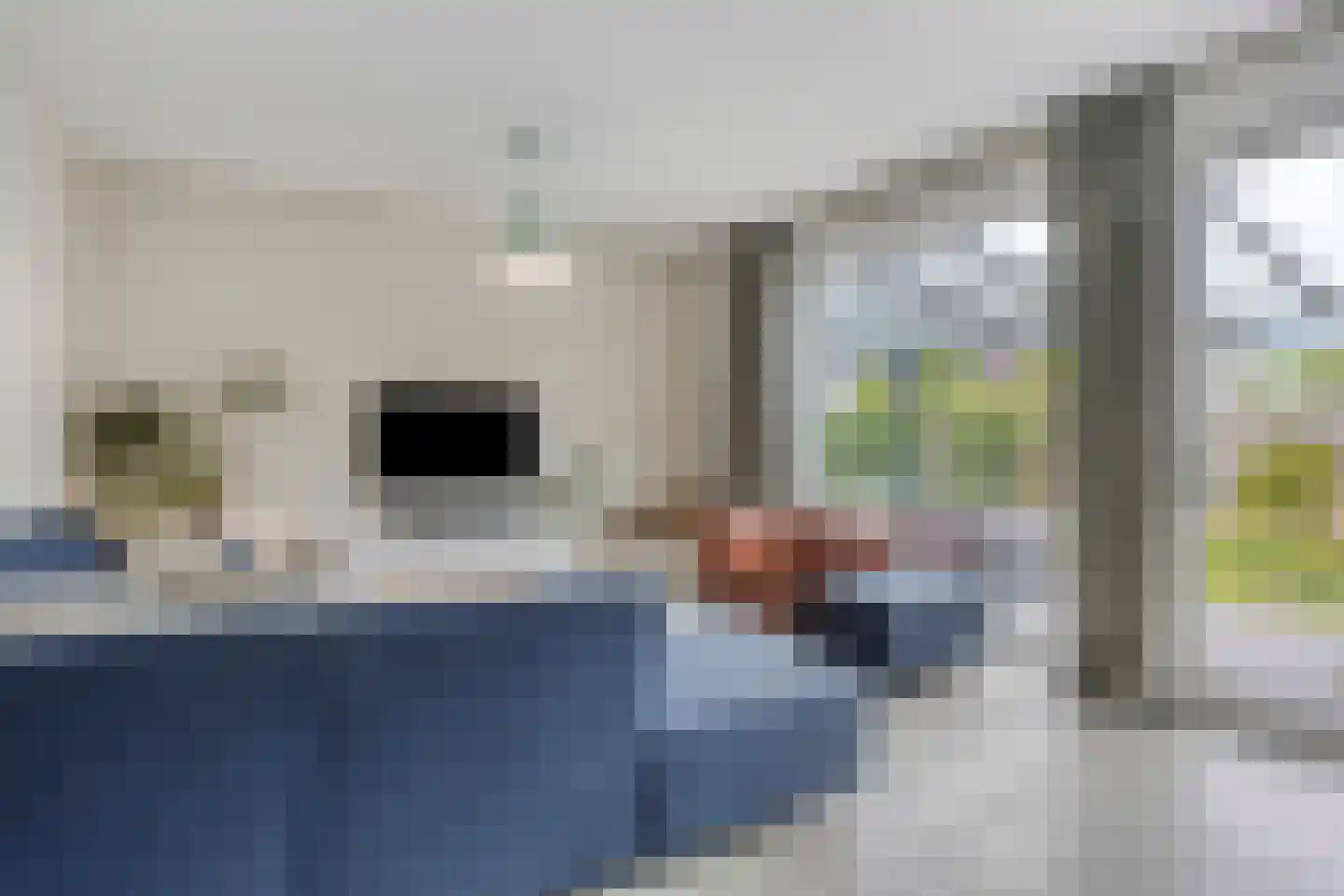 Valeriaan 19 Alphen aan den Rijn thumbnail 9
