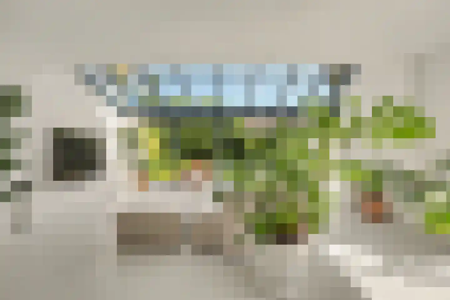 Valeriaan 19 Reeuwijk thumbnail 10
