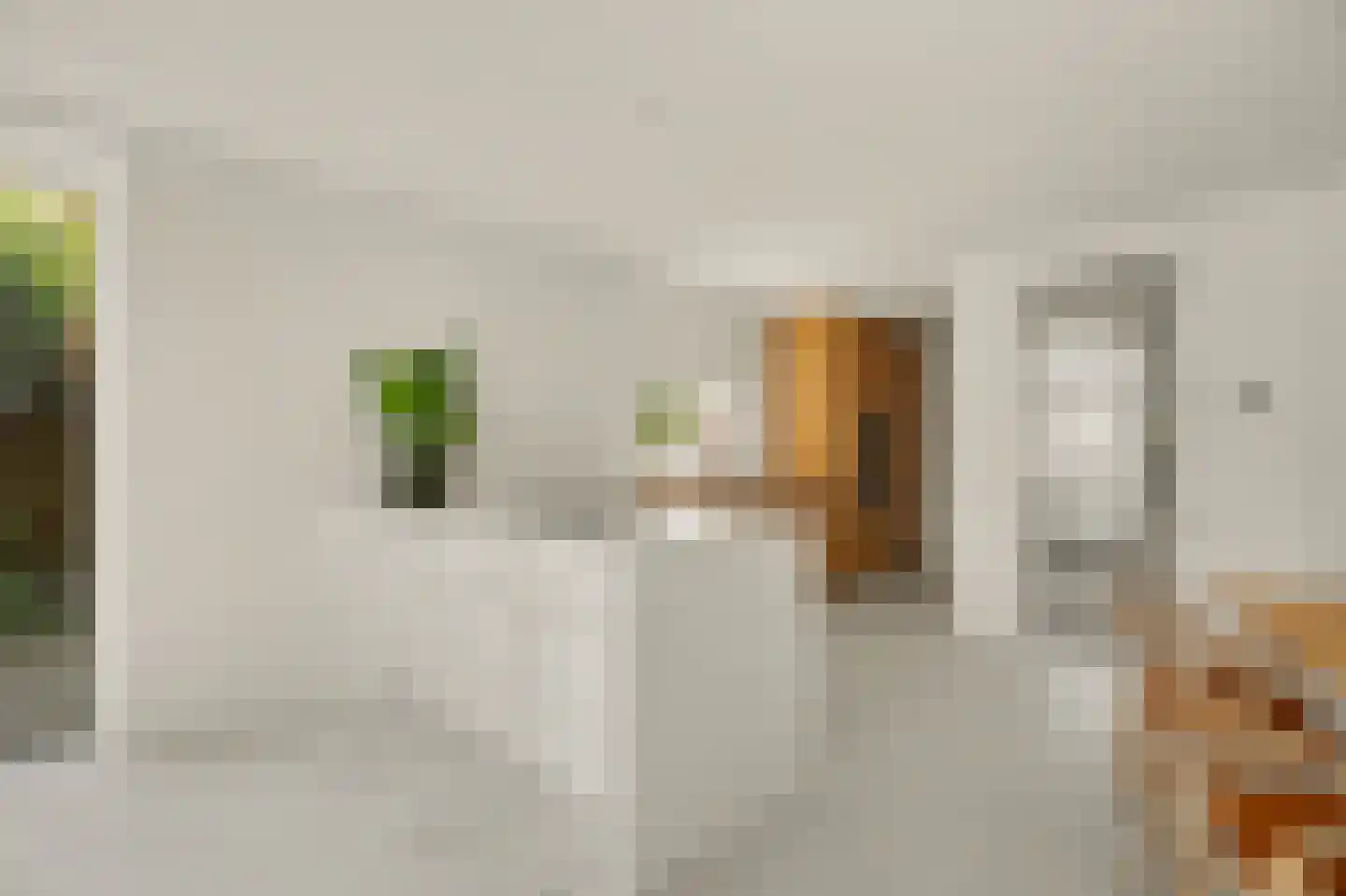 Valeriaan 19 Reeuwijk thumbnail 11