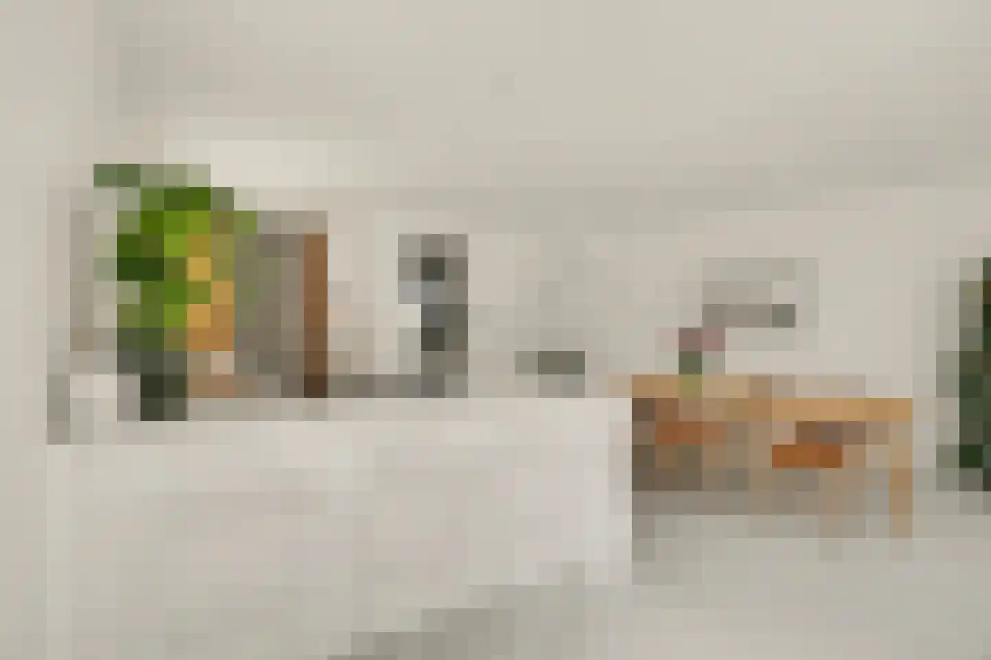 Valeriaan 19 Reeuwijk thumbnail 12
