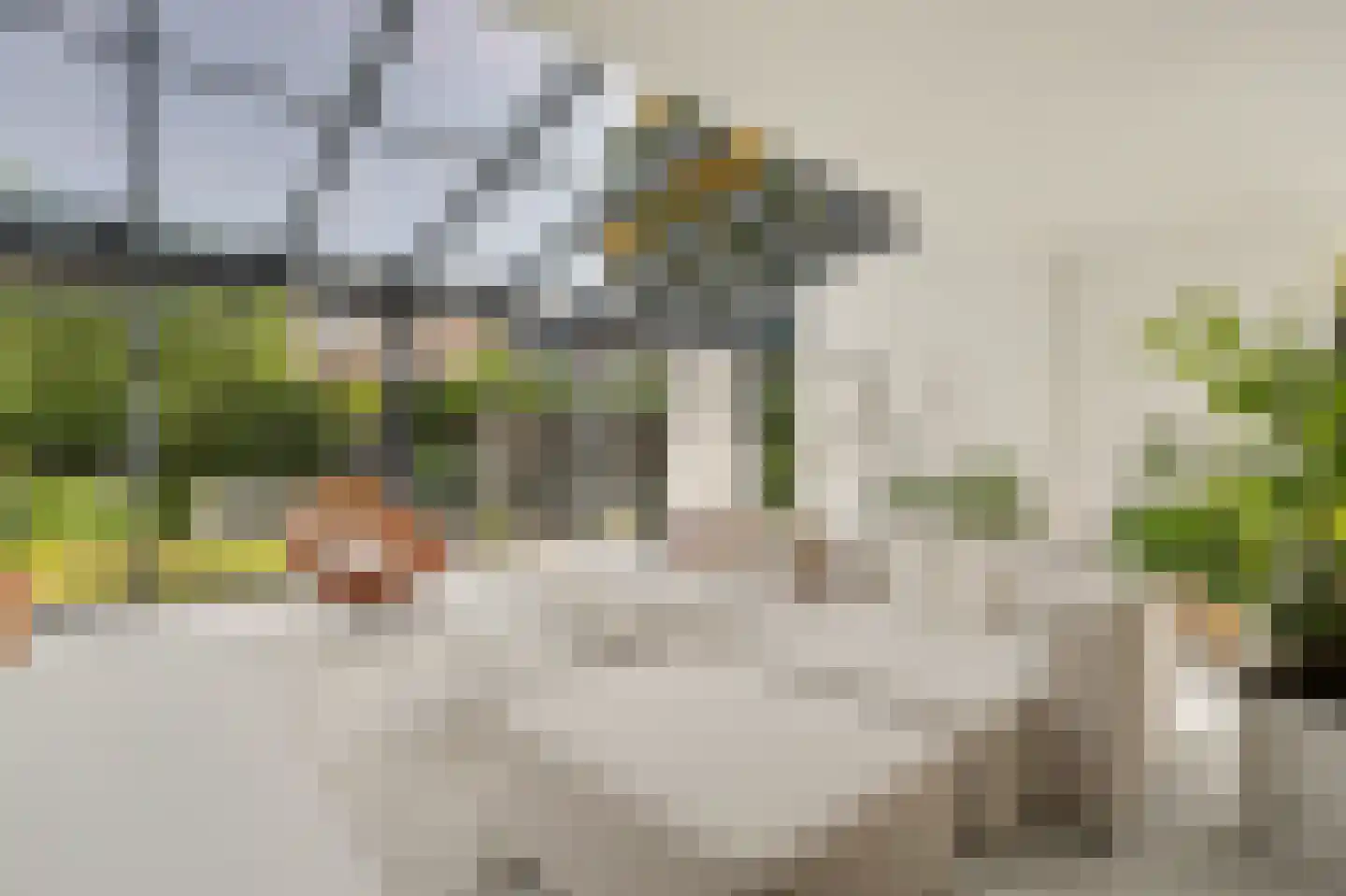Valeriaan 19 Reeuwijk thumbnail 13