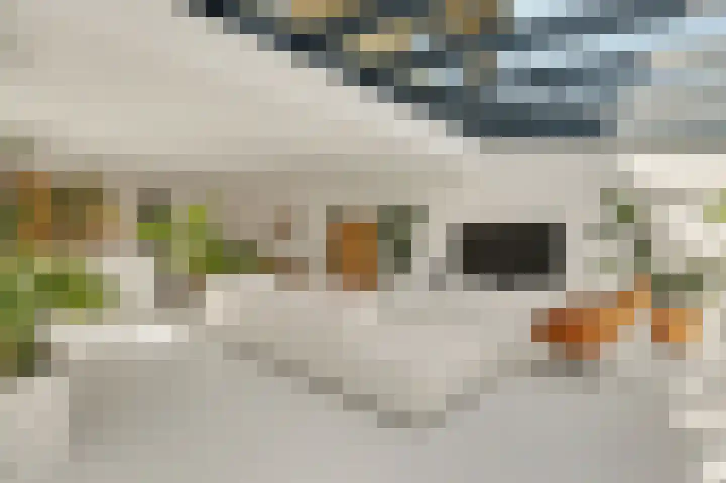 Valeriaan 19 Reeuwijk thumbnail 15