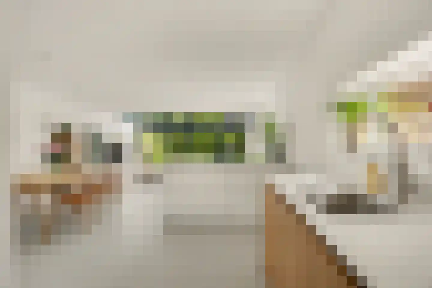 Valeriaan 19 Reeuwijk thumbnail 18
