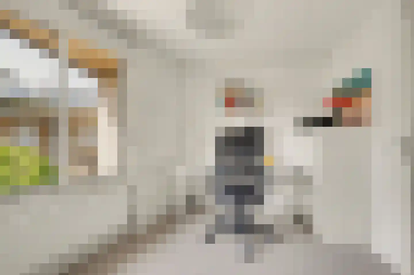 Valeriaan 19 Reeuwijk thumbnail 29