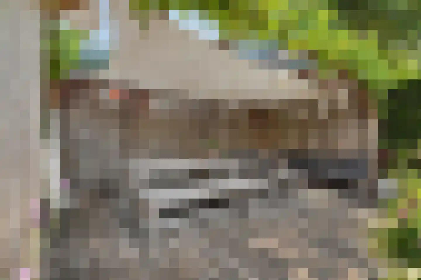 Valeriaan 19 Reeuwijk thumbnail 41
