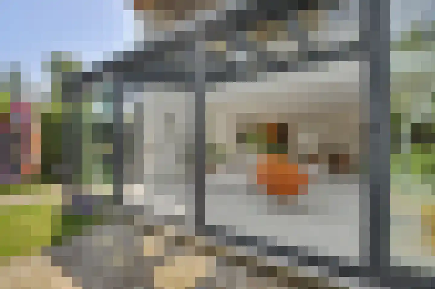 Valeriaan 19 Reeuwijk thumbnail 43