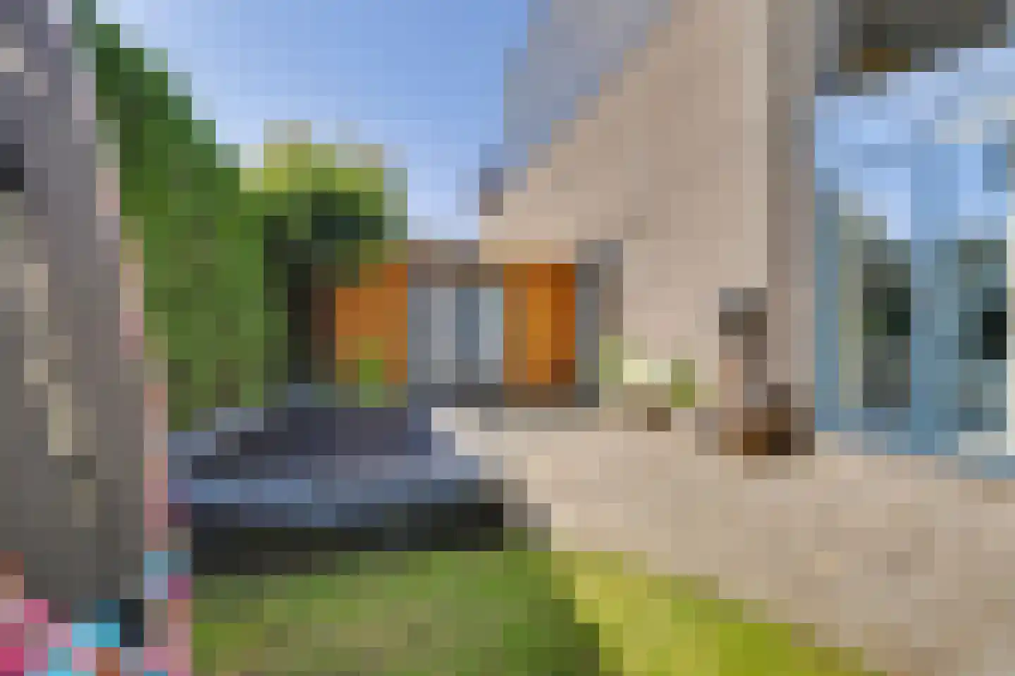 Valeriaan 19 Reeuwijk thumbnail 48