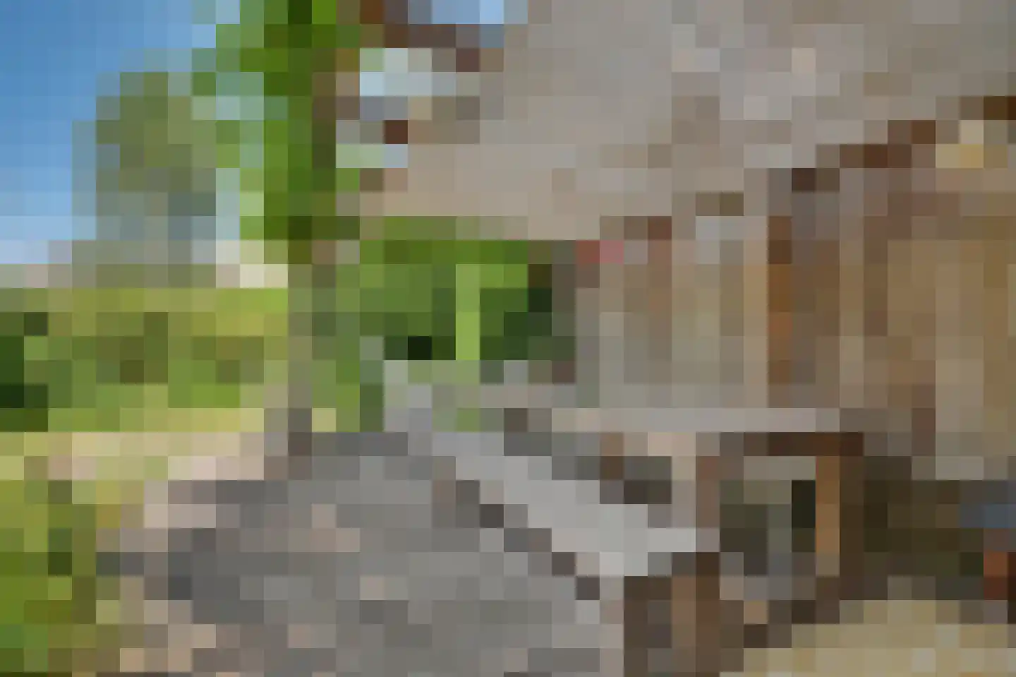 Valeriaan 19 Reeuwijk thumbnail 49