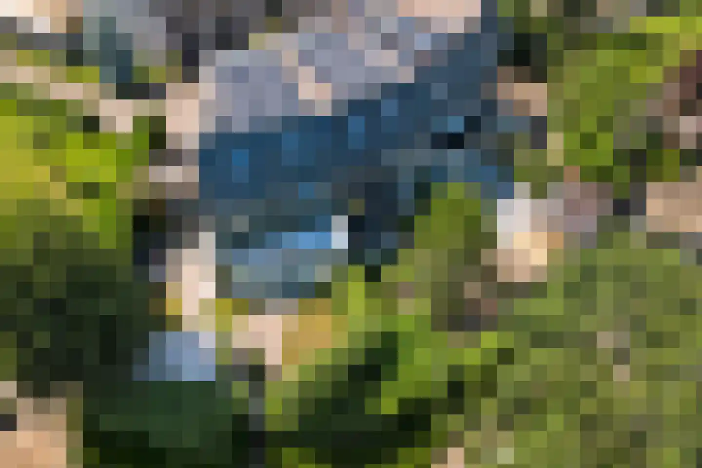 Valeriaan 19 Reeuwijk thumbnail 55