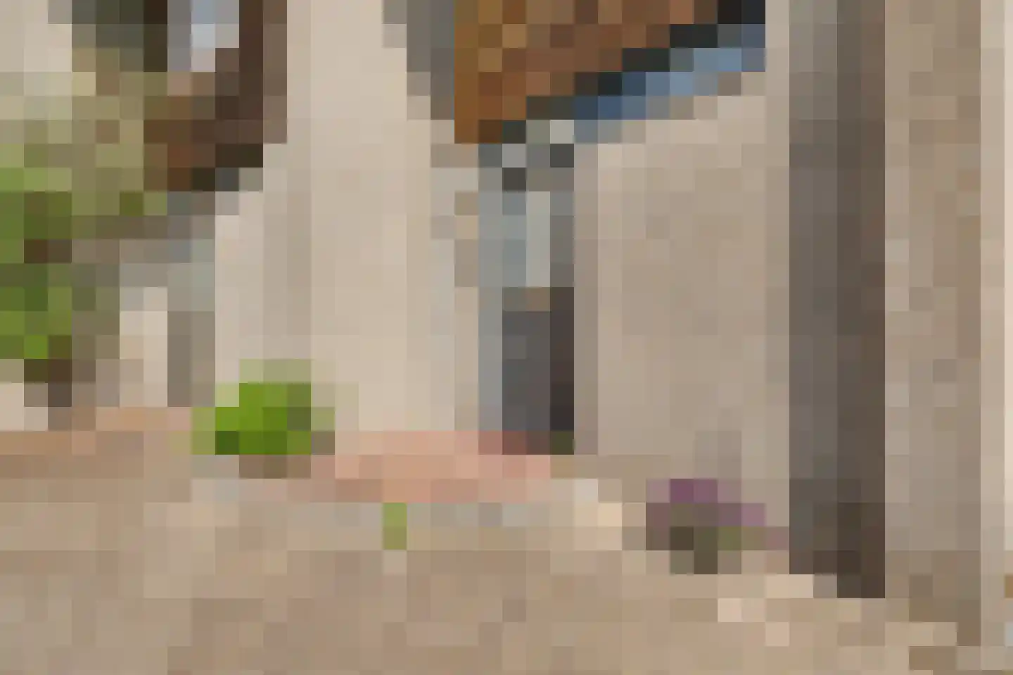 Valeriaan 19 Reeuwijk thumbnail 6