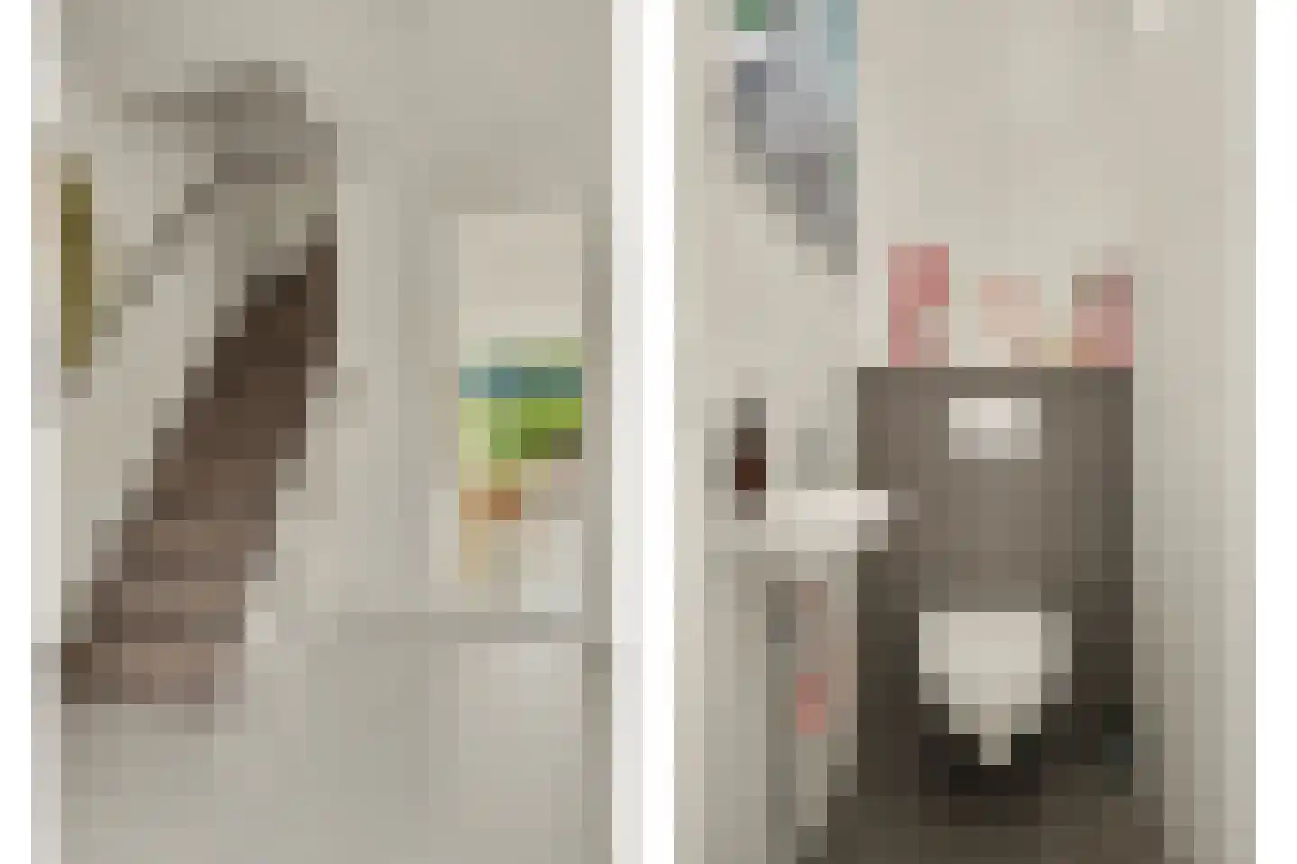 Valeriaan 19 Reeuwijk thumbnail 7