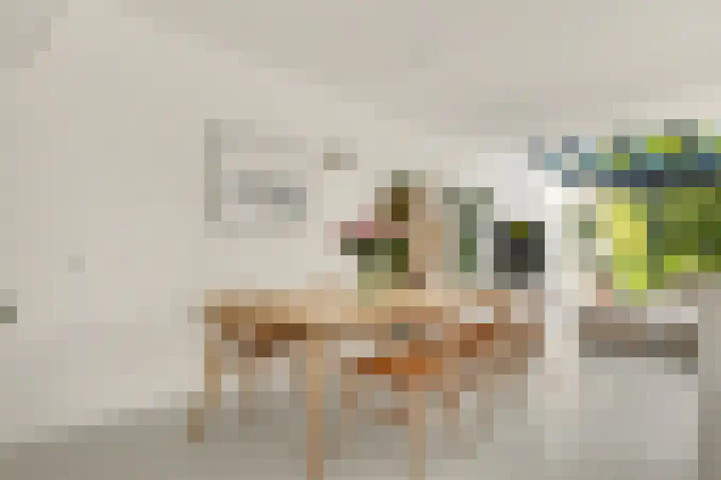 Valeriaan 19 Reeuwijk thumbnail 8