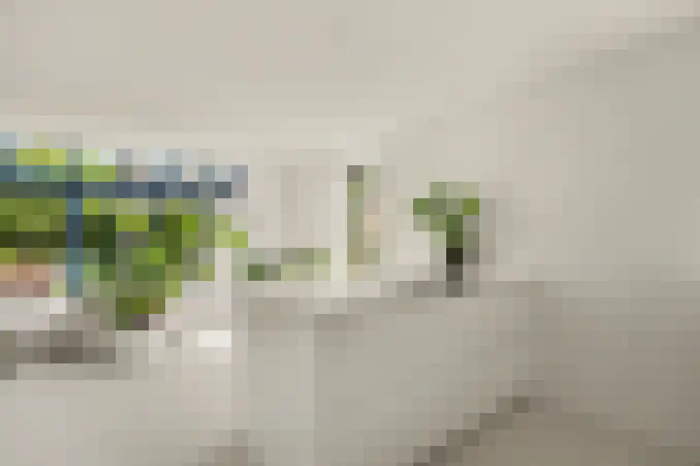 Valeriaan 19 Reeuwijk thumbnail 9