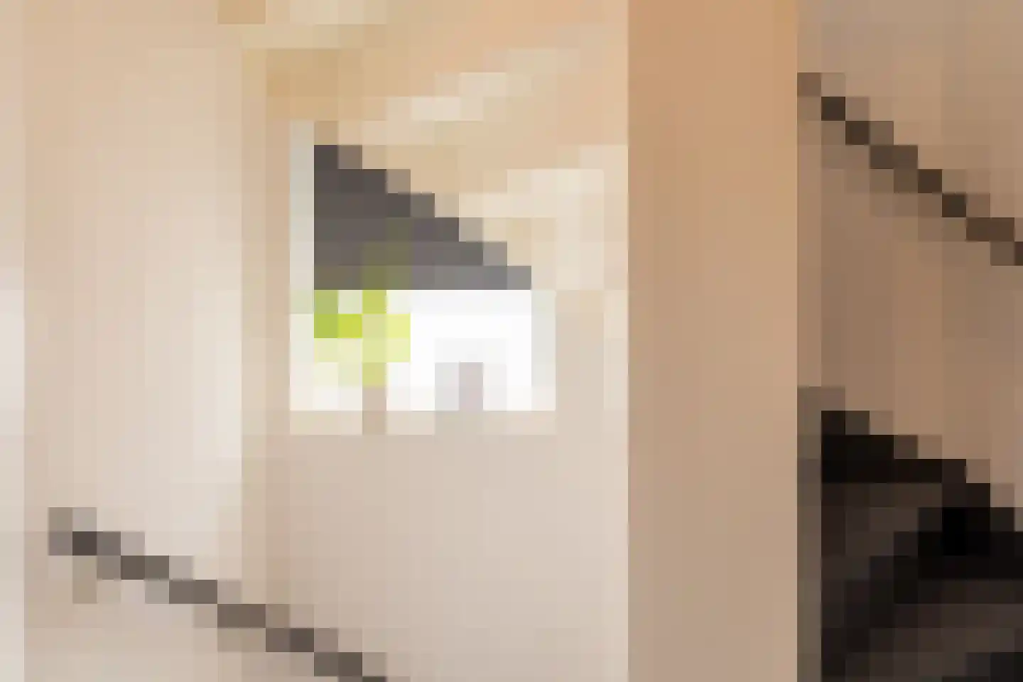 Valeriaan 2 Gendringen thumbnail 21