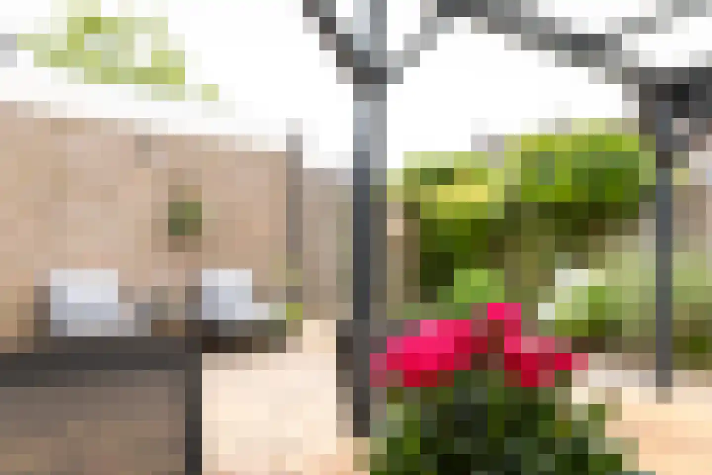 Valeriaan 2 Gendringen thumbnail 28