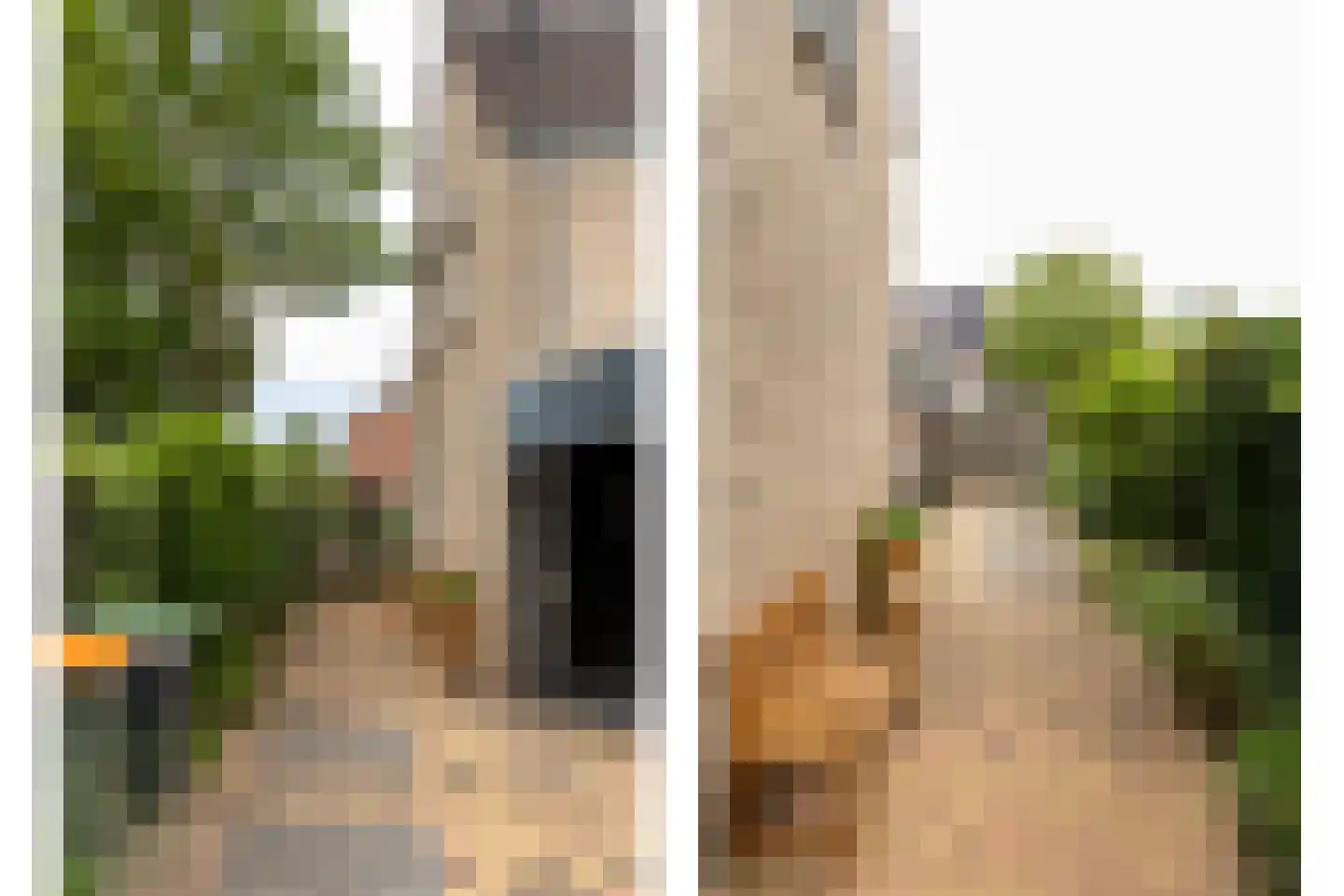 Valeriaan 2 Gendringen thumbnail 29