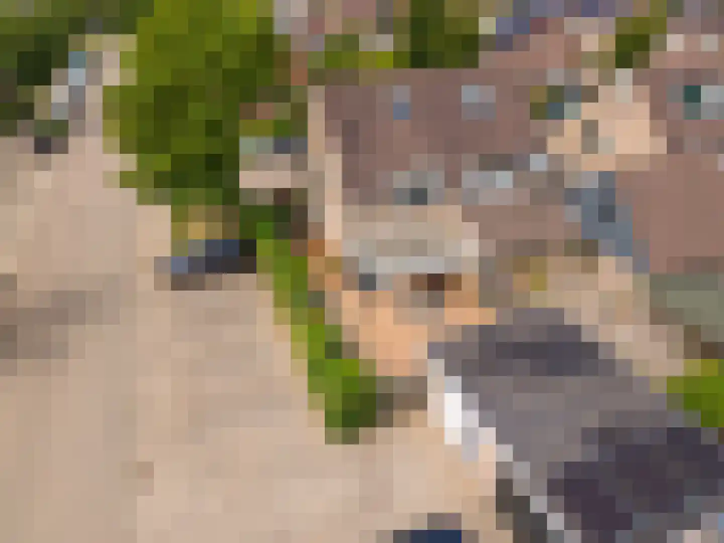 Valeriaan 2 Gendringen thumbnail 32