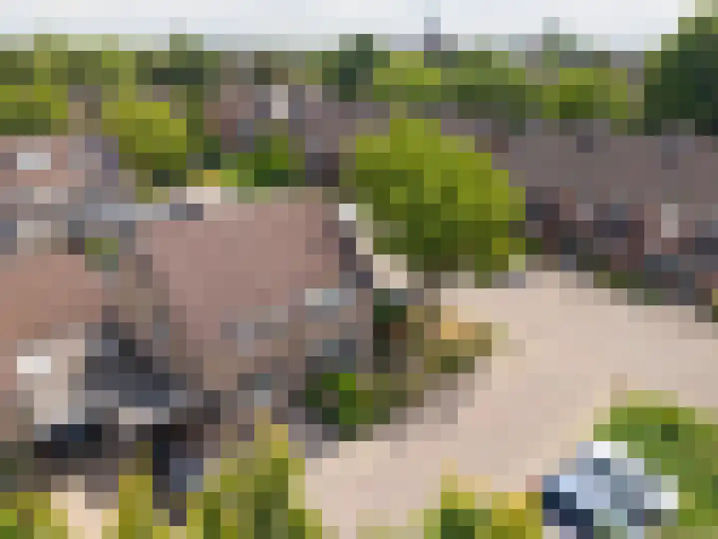 Valeriaan 2 Gendringen thumbnail 34
