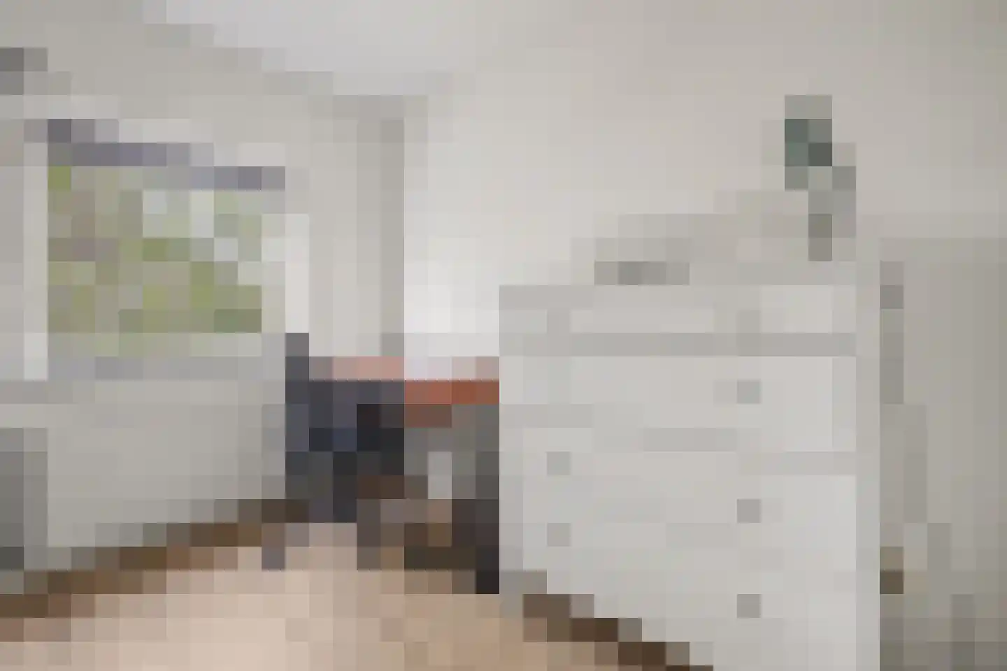 Valeriaan 20 's-Hertogenbosch thumbnail 23