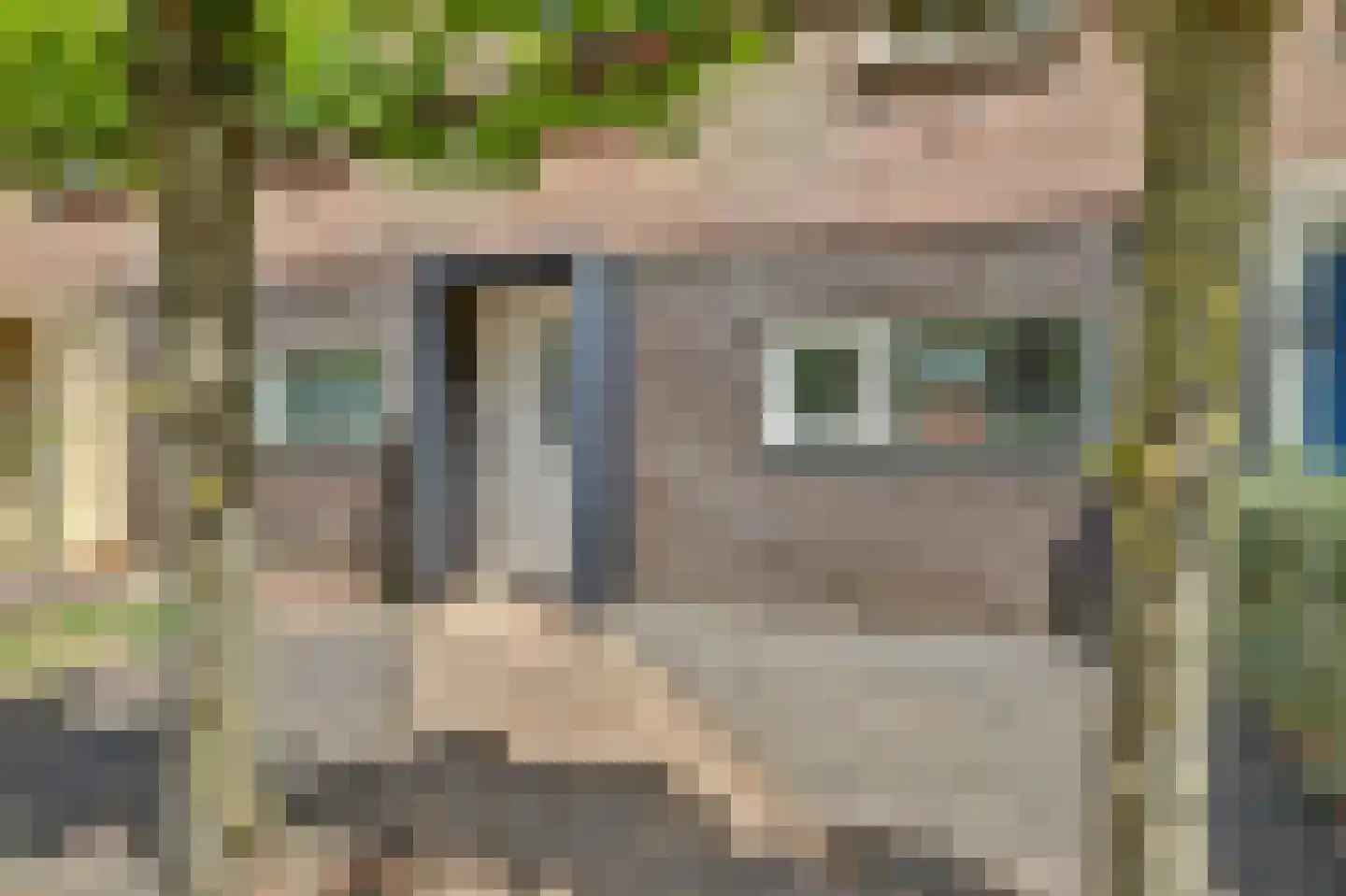 Valeriaan 20 's-Hertogenbosch thumbnail 35