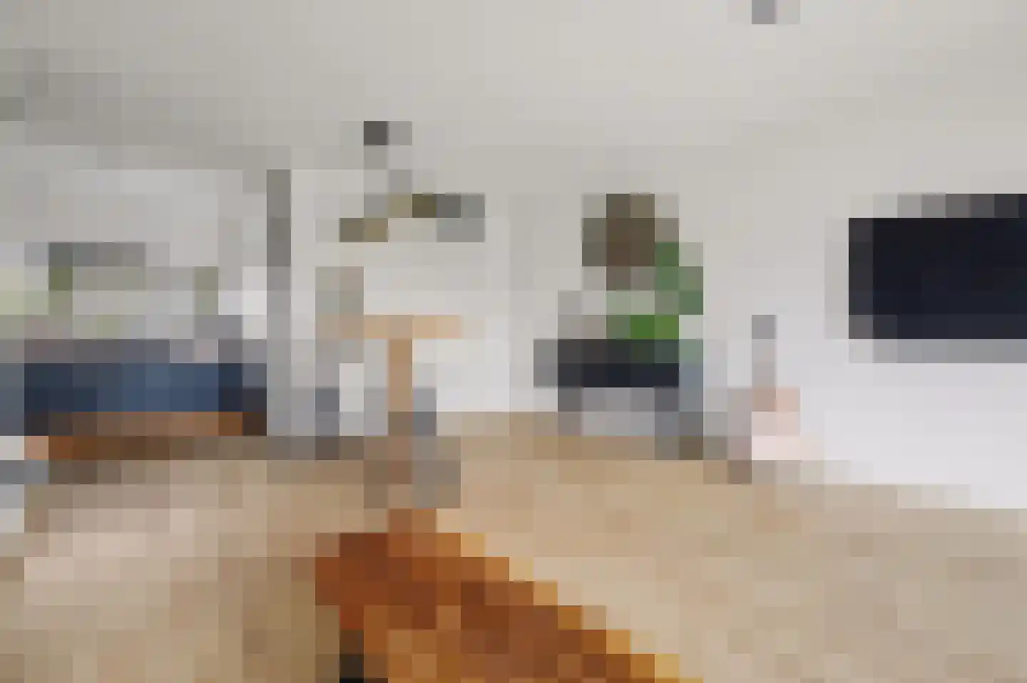 Valeriaan 20 's-Hertogenbosch thumbnail 8