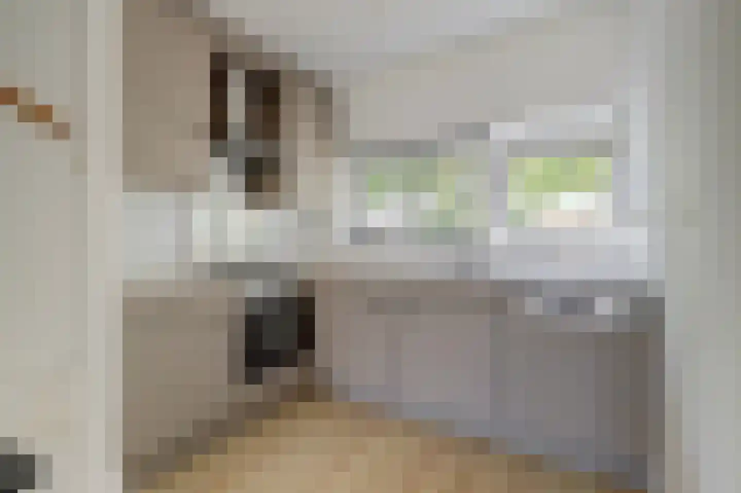 Valeriaan 20 's-Hertogenbosch thumbnail 9