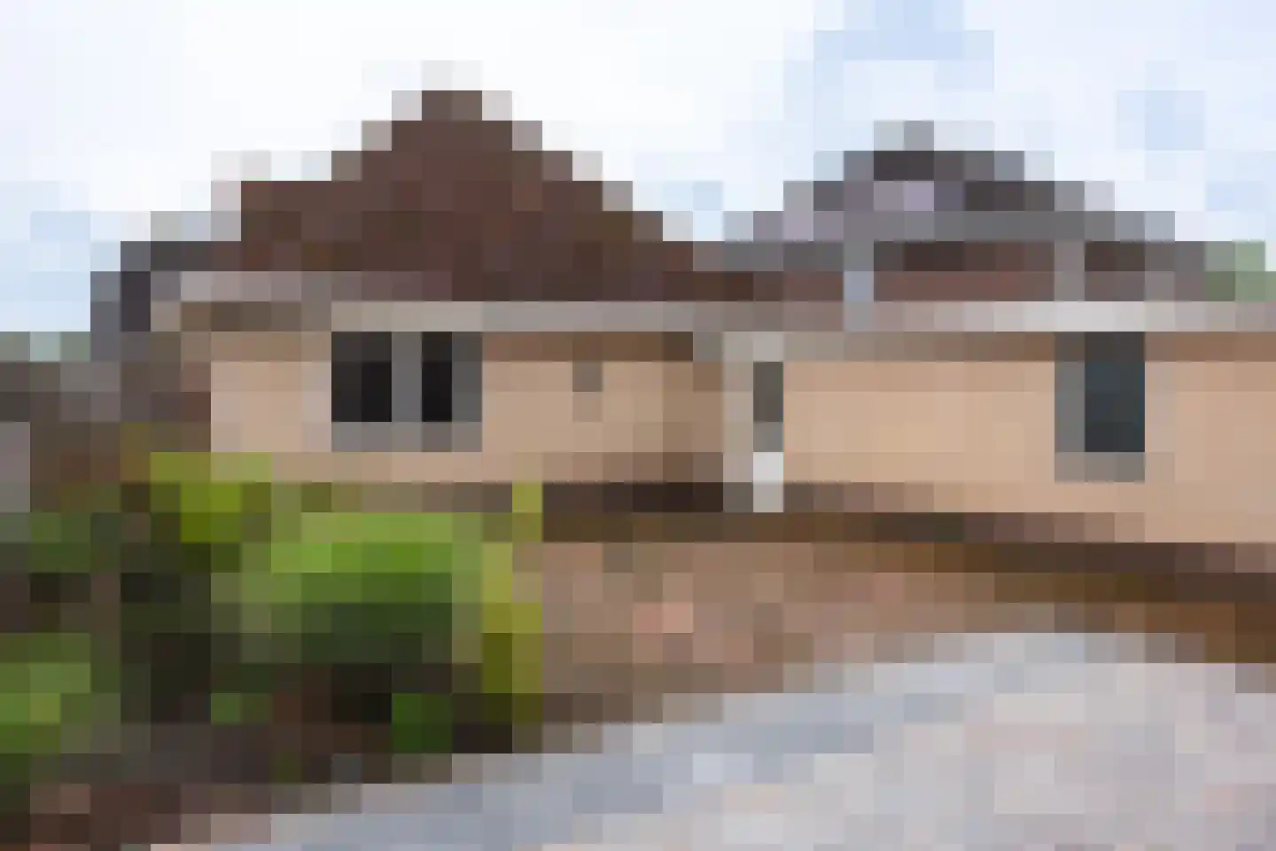 Valeriaan 21 Westerhaar-Vriezenveensewijk thumbnail 34