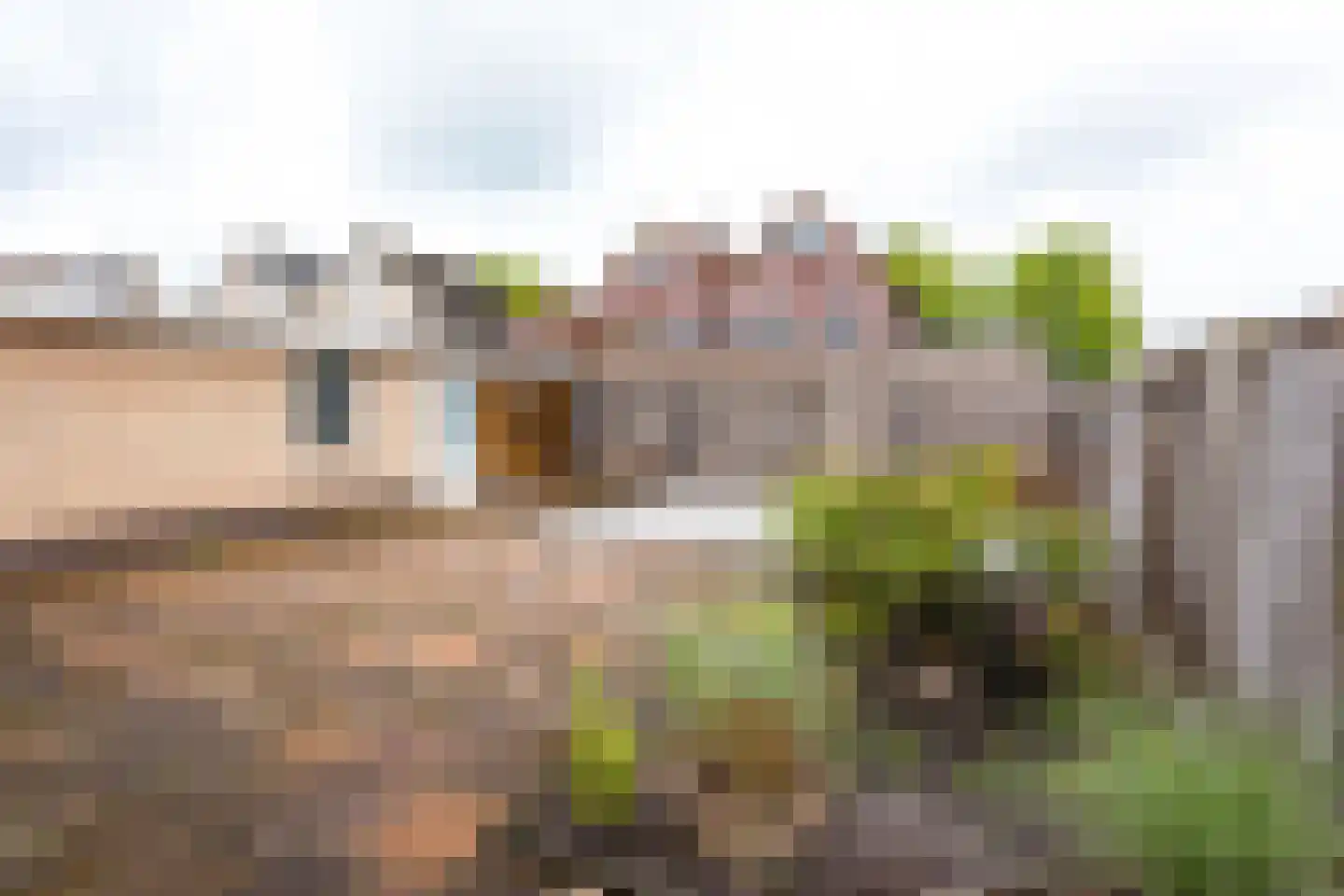 Valeriaan 21 Westerhaar-Vriezenveensewijk thumbnail 38