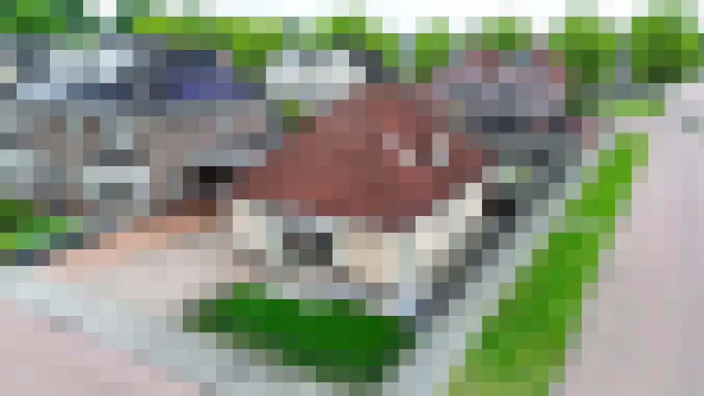 Valeriaan 21 Westerhaar-Vriezenveensewijk thumbnail 50