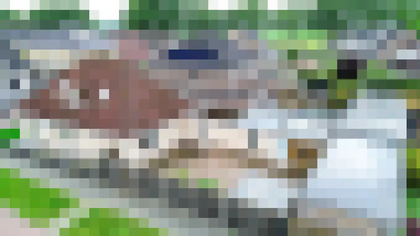 Valeriaan 21 Westerhaar-Vriezenveensewijk thumbnail 51