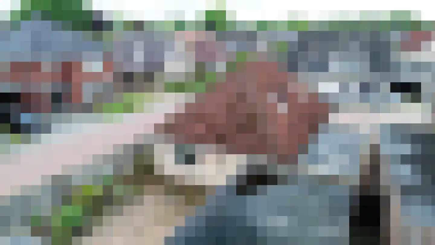 Valeriaan 21 Westerhaar-Vriezenveensewijk thumbnail 52