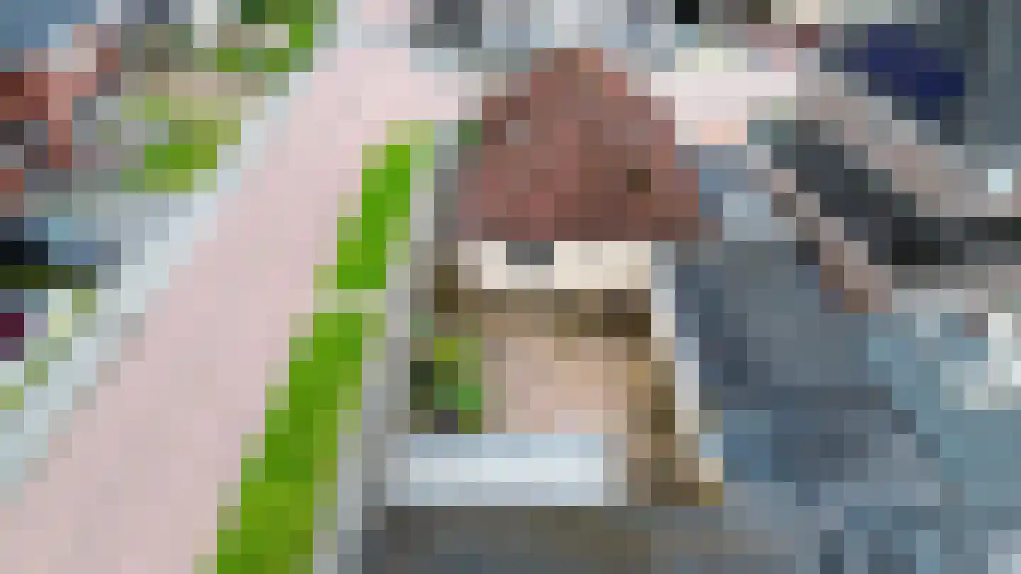 Valeriaan 21 Westerhaar-Vriezenveensewijk thumbnail 53
