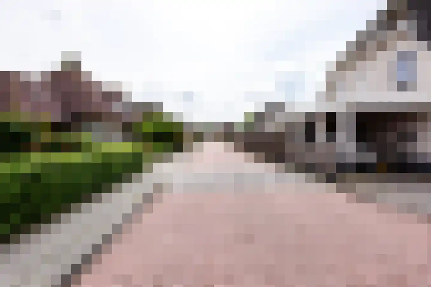 Valeriaan 21 Westerhaar-Vriezenveensewijk thumbnail 58